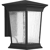 Progress Lighting p6069-led Arrive LEDアウトドア壁取り付け用燭台with Seedyガラス – 13、 9" P6069-3130K9 1