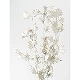 ~Coco Heart~　X'masにお勧め　プリザーブド　ヒイラギ　ホワイトゴールド　(クリスマス・プリザブドフラワー・リース）