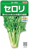 サカタのタネ 実咲野菜3078 セロリ コーネル 00923078