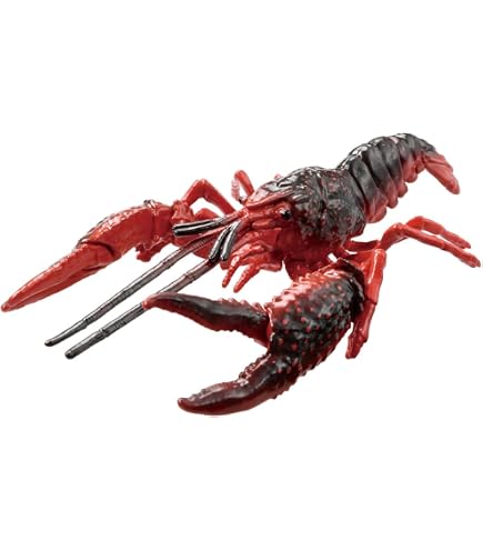 Amazon.co.jp: [猫神山] ラティメリア シーラカンス 海のサカナ 深海魚