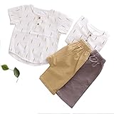 ベビー Tシャツ ロングパンツ ハロンパンツ 上下 2点セット 赤ちゃん　半袖 幼児 子供服 ランドネック Tシャツ カジュアル ツーピース　 (115, F)