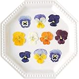 ドライエディブルフラワー＜食べるおしばな＞ビオラ・Mix（50枚）