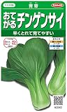 サカタのタネ 実咲野菜3302 おてがるチンゲンサイ 青帝 00923302
