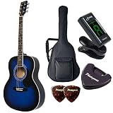 HONEY BEE ハニービー アコースティックギター フォークギタータイプ F-15M/BLS マットフィニッシュモデル 初心者入門チューナーピックセット