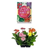 『瀬戸ヶ原花苑 花と野菜のプレミアム培養土 40L』と『花市場直送便 ガーベラ MIX 3寸 15入』のセット