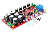 LILLYエレクトロニクス シールド・ポテンショメータ2×80W+160W（サブウーファー）とTDA7294アンプボード