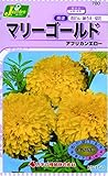 カネコ種苗 草花タネ780 マリーゴールド アフリカンエロー 10袋セット