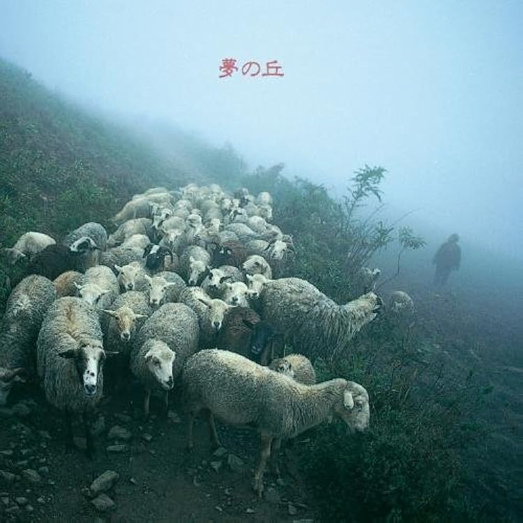 Amazon.co.jp: 【メーカー特典あり】An old warrior shook the