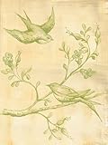 Oopsy Daisy Toile Birdies Green Stretched Canvas Wall Art by Heather Gentile-collins, 18 by 24-Inch 