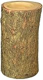 High Quality Natural Wood Branch Vase with Bark, 9 H