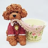 トイプードル　プランター