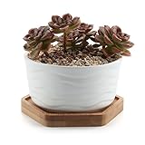 T4U 9.9CM 陶器鉢 現代風 水波パターン 植木鉢 ホワイト 六角竹製トレイ付き