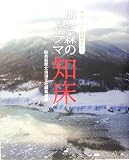 海と森のドラマ知床: オホ-ツク回廊を行く