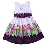 Pettigirl子供・ベビードレス 花柄 女の子ドレス 3歳 [並行輸入品]