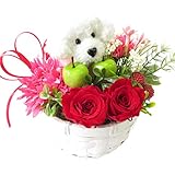 誕生日プレゼント 女性 花 プリザーブドフラワーのバラと白トイプードルのフラワーアレンジメント (白)