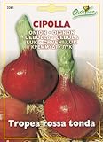 【HORTUS社種子】【Art.2281】オニオン・ロッサトンダ