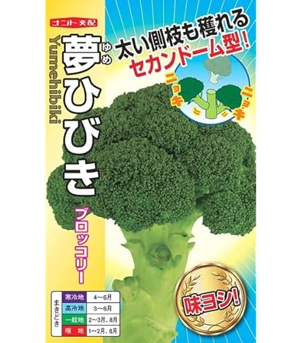 Amazon | 【種子】 極甘キャベツ サトウくん ナント種苗のタネ | 野菜