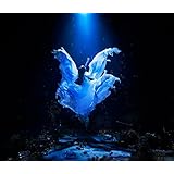 誰か、海を。EP