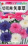 トーホク 切花用 矢車草