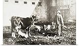 GREAT BIGキャンバス「歴史写真ポスター印刷のPiglet授乳からCowから19世紀 30" x 18" 2348241_13_30x18_none