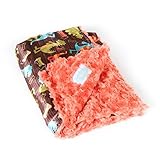 AllyZabba Dino Coral SmallTravelZabba Baby Blanket 16 x 14 by AllyZabba