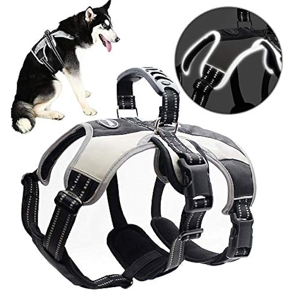 safety harness dog
