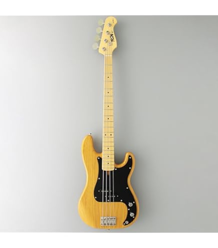 Amazon | FUJIGEN BCJB100RBD BK FGN フジゲン ジャズベースタイプ
