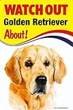 WATCH OUT Golden Retriever 画像イラストサインボード：ゴールデンレトリーバー 英語看板 イギリス製 Made in U.K [並行輸入品]
