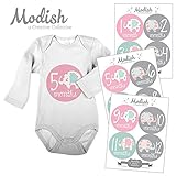 12 Monthly Baby Stickers, Elephants, Baby Girl, Elephant Baby Belly Stickers, Elephant Monthly Onesi