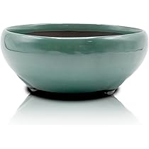 盆栽鉢　深め　丸 61N7KiaennL._UF894,1000_QL80_.jpg
