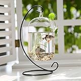サスペンション ガラス球金魚鉢水耕栽培植物ホブ鉄形マイクロ風景サスペンションハートガーデンの装飾ラック 円筒 L
