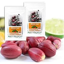 ミラクルフルーツ 10号 190cm 51QAAEDKZML._AC_UL210_SR210,