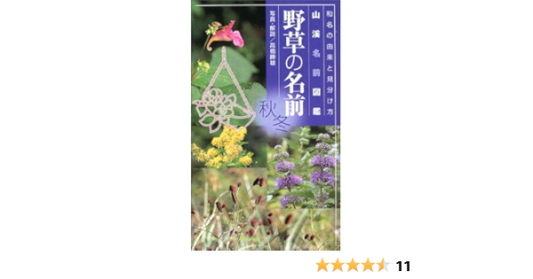 野草の名前秋 冬 和名の由来と見分け方 山渓名前図鑑 高橋 勝雄 本 通販 Amazon