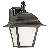 Sea Gull Lighting 89316PBLE-12 Bancroft Single Light Wall Lantern from the Bancroft Collection, Blac