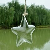 TOPmountain 透明ガラス 花瓶テラリウム 壁掛け 星型 クリエイティブなボトル植物の花 ガーデン屋内のオフィスバー デコレーションオーナメント