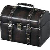 トランク [W30 x D20 x H25cm] 家具 収納家具 チェスト