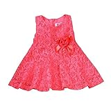 Rorychen ベビー ノースリーブ レース ジッパードレス 女児 ガールズ 赤ちゃん 可愛い おしゃれ ワンピース スカート [全13色][ウォーターメロンレッド][9ヶ月]