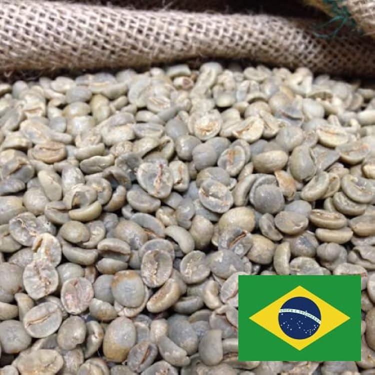 Amazon.co.jp: コーヒー生豆 ブラジルサントス No．2 17/18