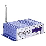 HY - 502ハイファイデジタル自動車カーステレオパワーアンプLEDサウンドモードオーディオミュージックプレーヤーサポートUSB MP3 DVD SD FM