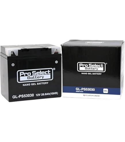 Amazon | Z BATTERIES BMW専用 バイクバッテリー Z53030（53030