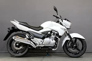 Amazon スズキ Gsr250 Fi 250cc 白 国内14年モデル 新車乗出し価格 オートバイ 電動バイク バギー 車 バイク