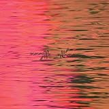 DEAD REFLECTION [CD]