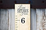 DIY Vinyl Growth Chart Ruler Decal Kit, Love Grows Here [並行輸入品]