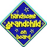 FUNKY HANDSOME GRANDCHILD Non Personalised novelty baby on board car window sign. by Just The Occasi