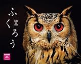 ふくろうカレンダー 2024（月めくり/壁掛け） (ネコ・パブリッシング) ([カレンダー])