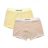 キッズ パンツ 男の子 下着 ジュニアインナーパンツ コットン ストライプ 前閉じ ボクサーパンツ 子供服 男 8歳以上 綿 2枚組 4枚組 (120, B)