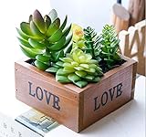 CCTZアイデアの盆栽 小さい盆栽 人工植物 光触媒 加工 多肉盆栽の置物 人工観葉植物 多肉植物