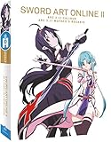 ソードアート・オンライン　第2期　「キャリバー編」＆「マザーズ・ロザリオ編」全10話　300分　欧州版　DVD