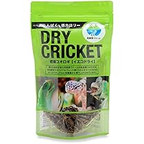 大容量⭐︎国産養殖　乾燥フタホシコオロギ　5kg 大容量⭐︎国産養殖 乾燥フタホシコオロギ 5kg