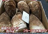 朝掘りたけのこ 熊本産 1箱 約4ｋｇ クール便発送